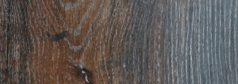 Canyon Black Oak